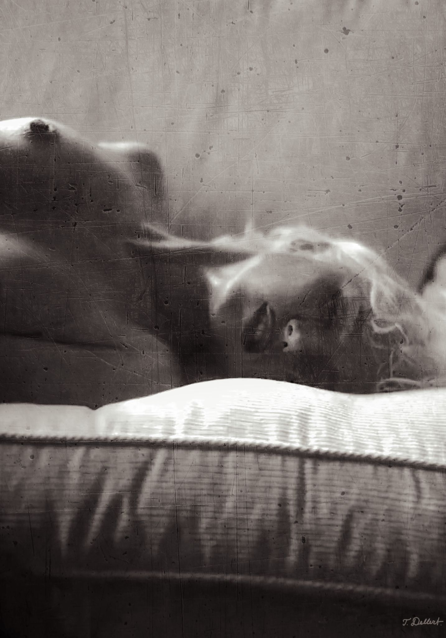 The Big Sleep